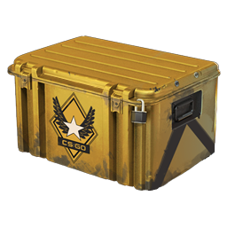 Winter Offensive Case case cs go