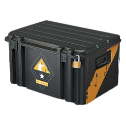 CS:GO Weapon case cs go