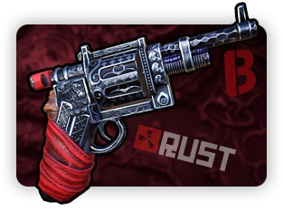 Revolver Case