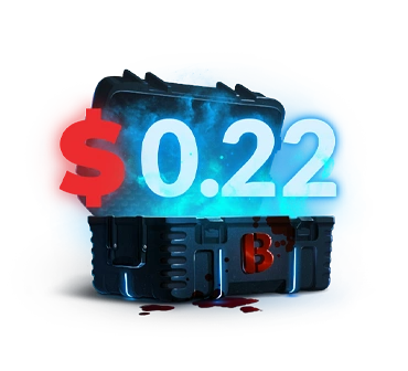 Twenty Two Сent Сase case cs go