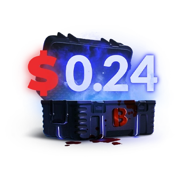 Twenty Four Cent Case case cs go