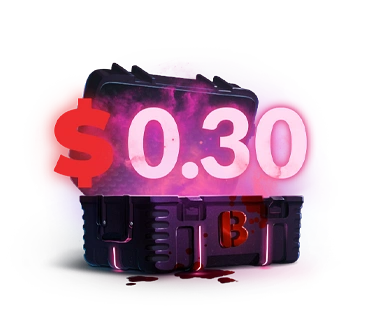 Thirty Cent Case case cs go