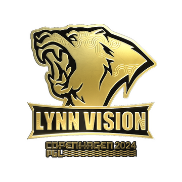 Lynn vision cs go