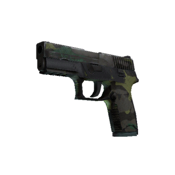 instal M4A1-S Boreal Forest cs go skin