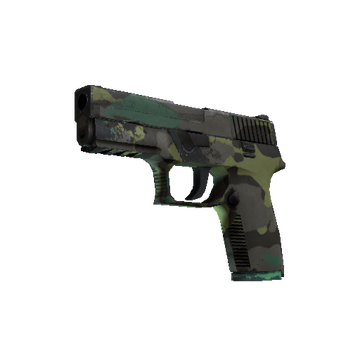 P250 | Boreal Forest (Well-Worn)