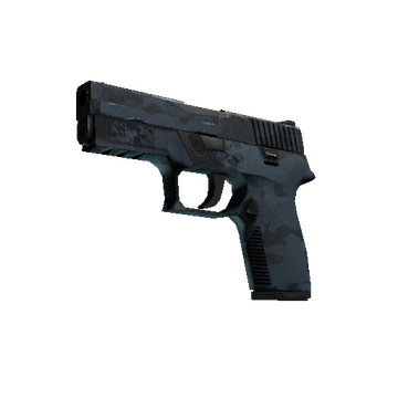P250 | Forest Night cs go skin