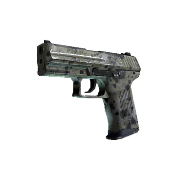 P2000 | Granite Marbleized cs go skin