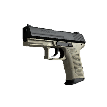P2000 | Ivory cs go skin
