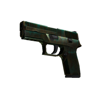 P250 | Verdigris cs go skin