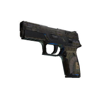 P250 | Exchanger cs go skin