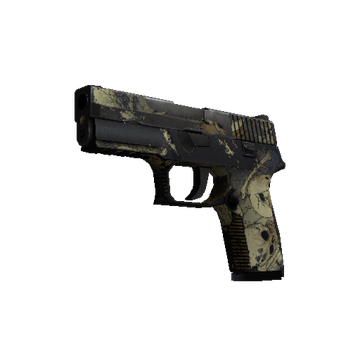 P250 | Contamination cs go skin