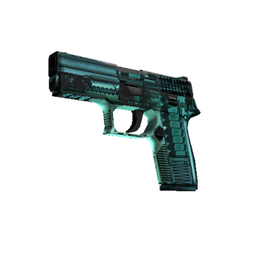 P250 | X-Ray cs go skin