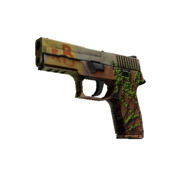 P250 | Inferno cs go skin