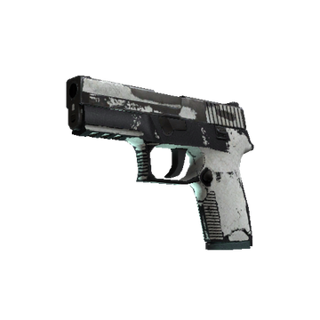P250 | Whiteout cs go skin
