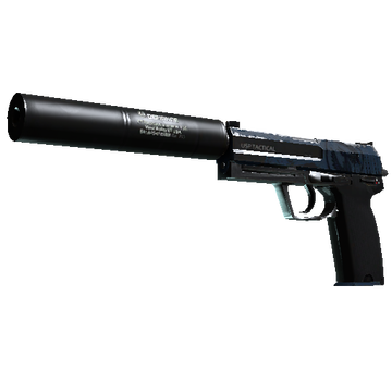 USP-S | Guardian cs go skin