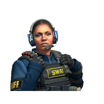 Cmdr. Mae 'Dead Cold' Jamison | SWAT cs go skin