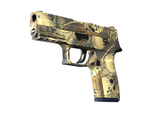 P250 | Contamination (Minimal Wear)
